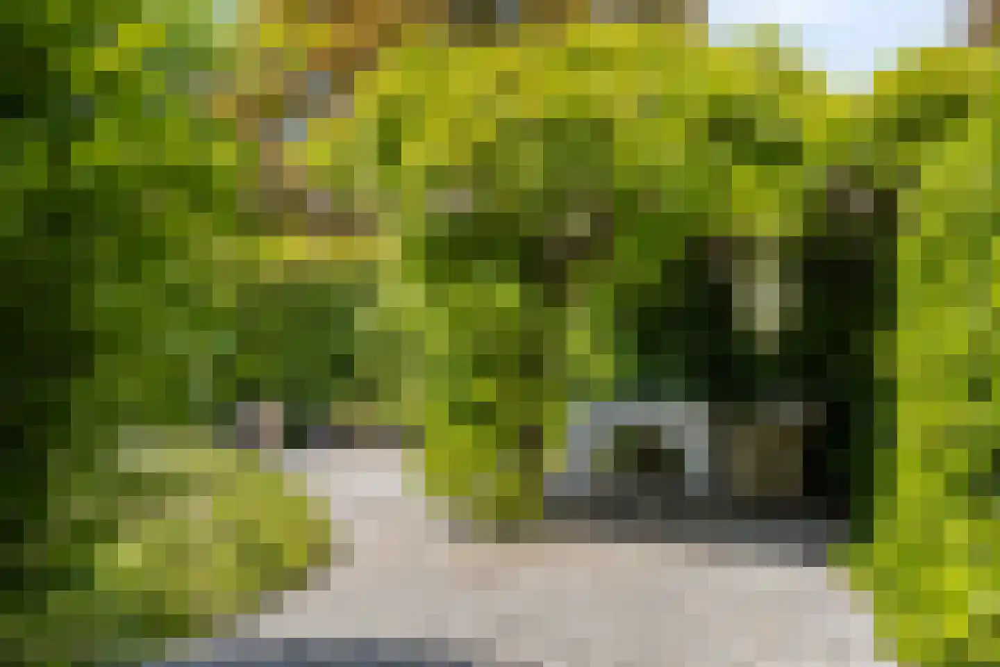 Van Deelenstraat 99 Oudheusden thumbnail 4