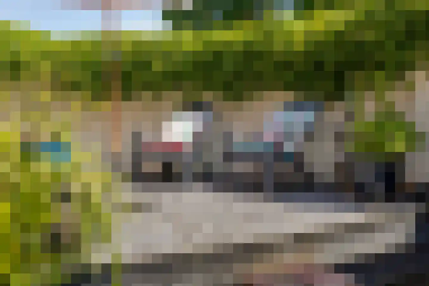 Van Deelenstraat 99 Oudheusden thumbnail 42