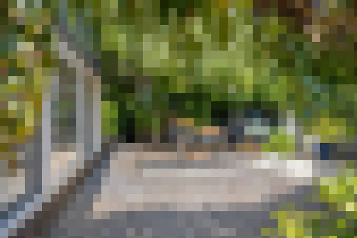 Van Deelenstraat 99 Oudheusden thumbnail 45