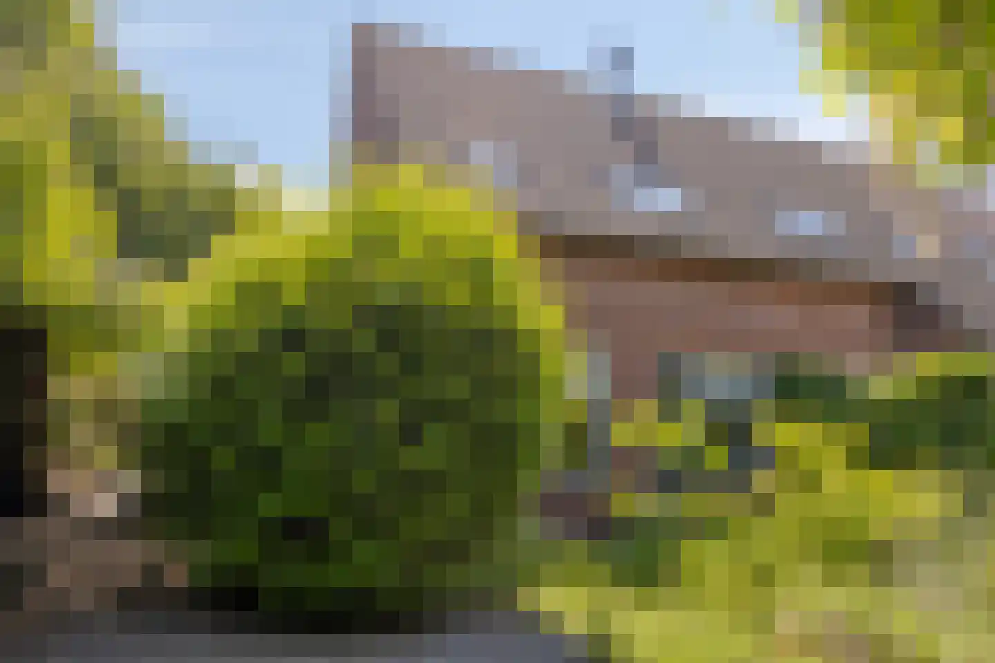Van Deelenstraat 99 Oudheusden thumbnail 47