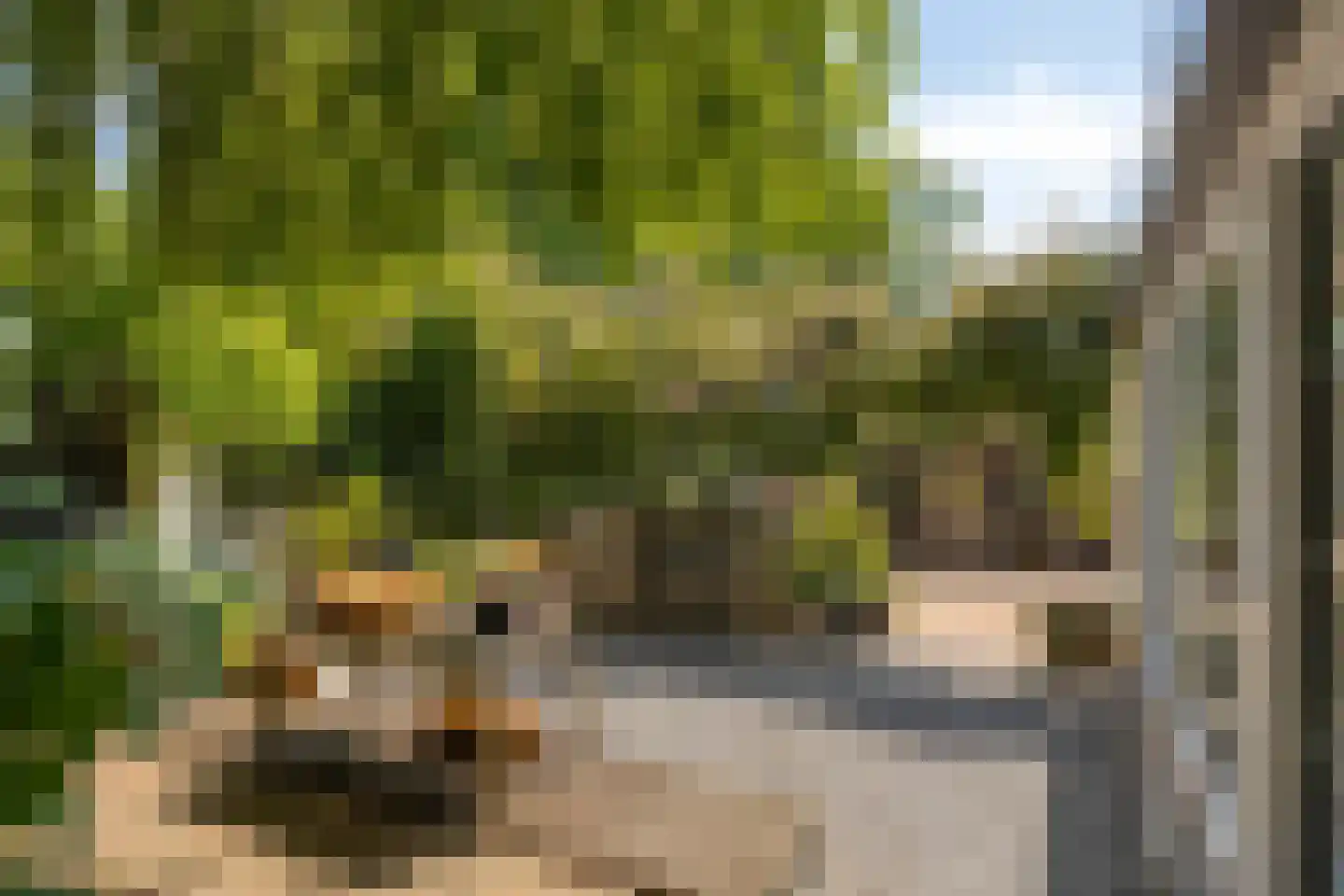 Van Deelenstraat 99 Oudheusden thumbnail 48