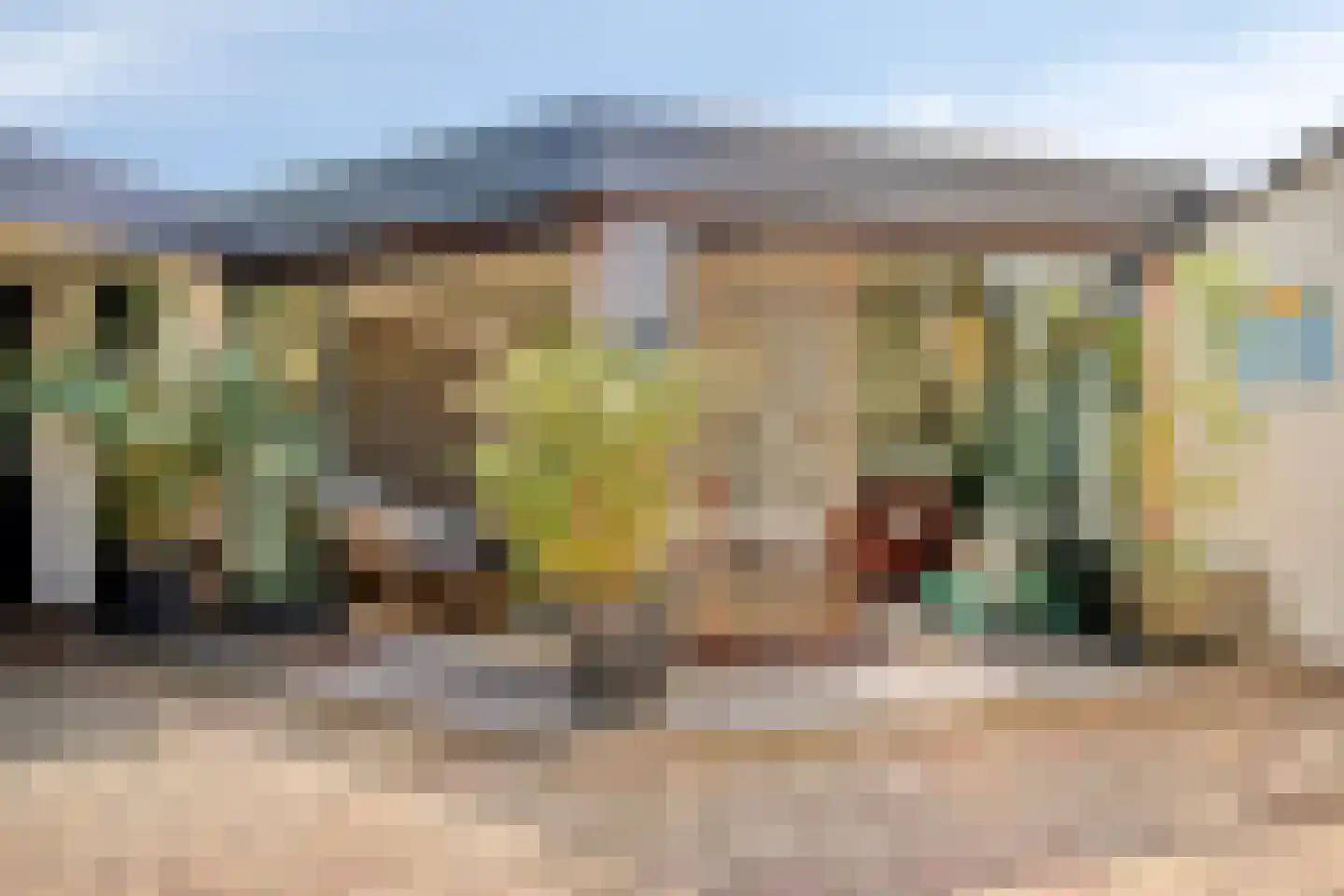 Van Deelenstraat 99 Oudheusden thumbnail 5