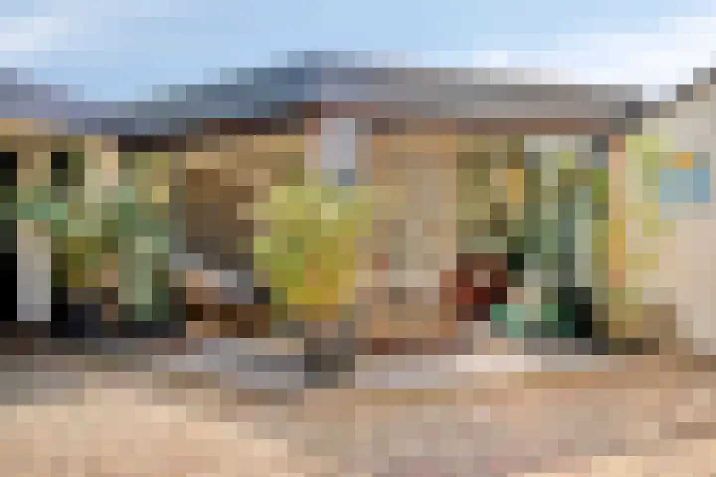 Van Deelenstraat 99 Oudheusden thumbnail 51