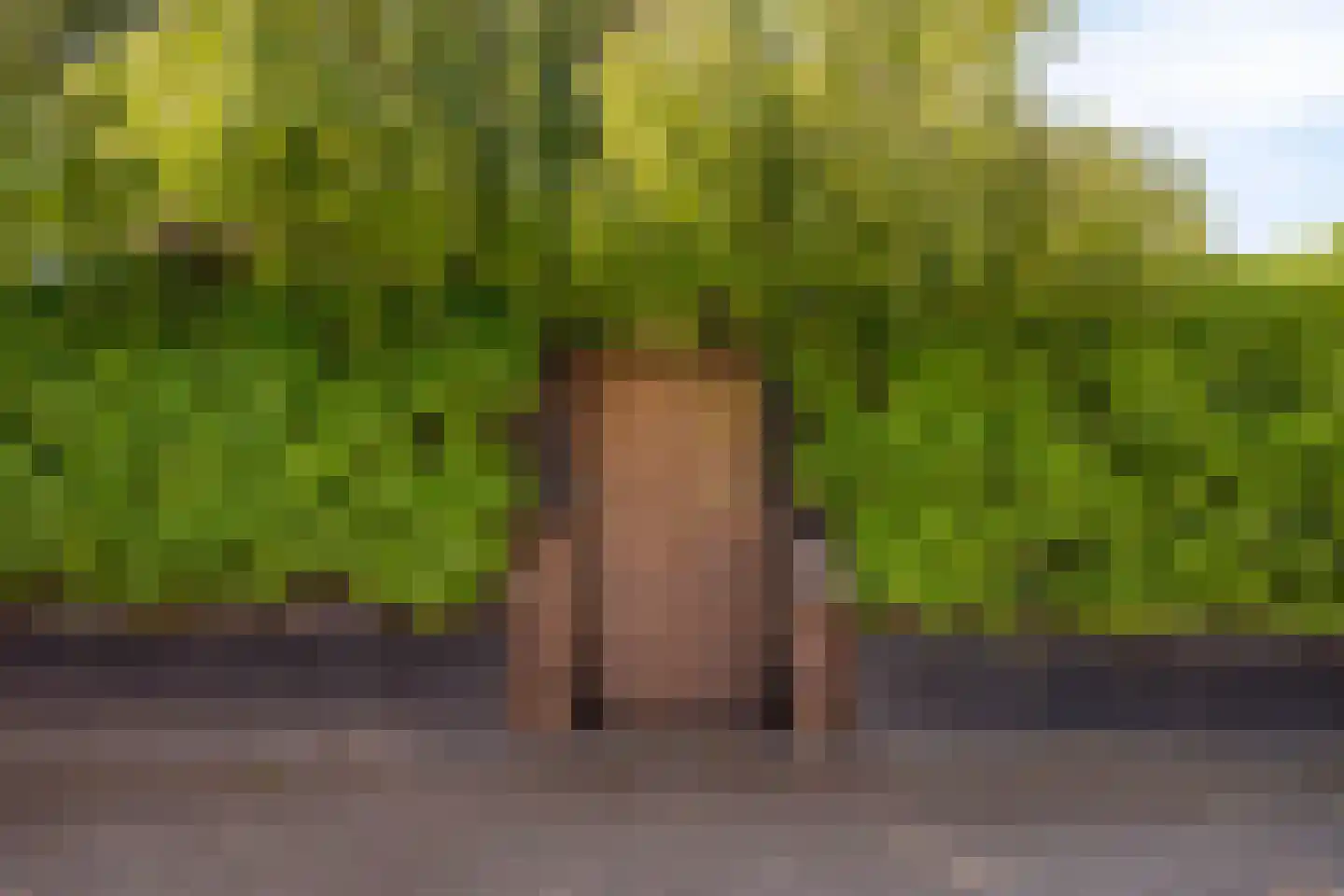 Van Deelenstraat 99 Oudheusden thumbnail 58