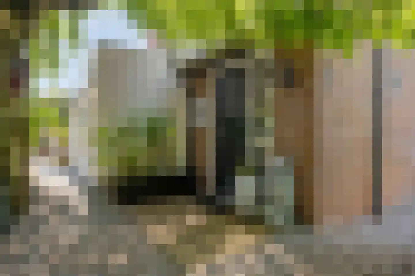 Van Deelenstraat 99 Oudheusden thumbnail 6
