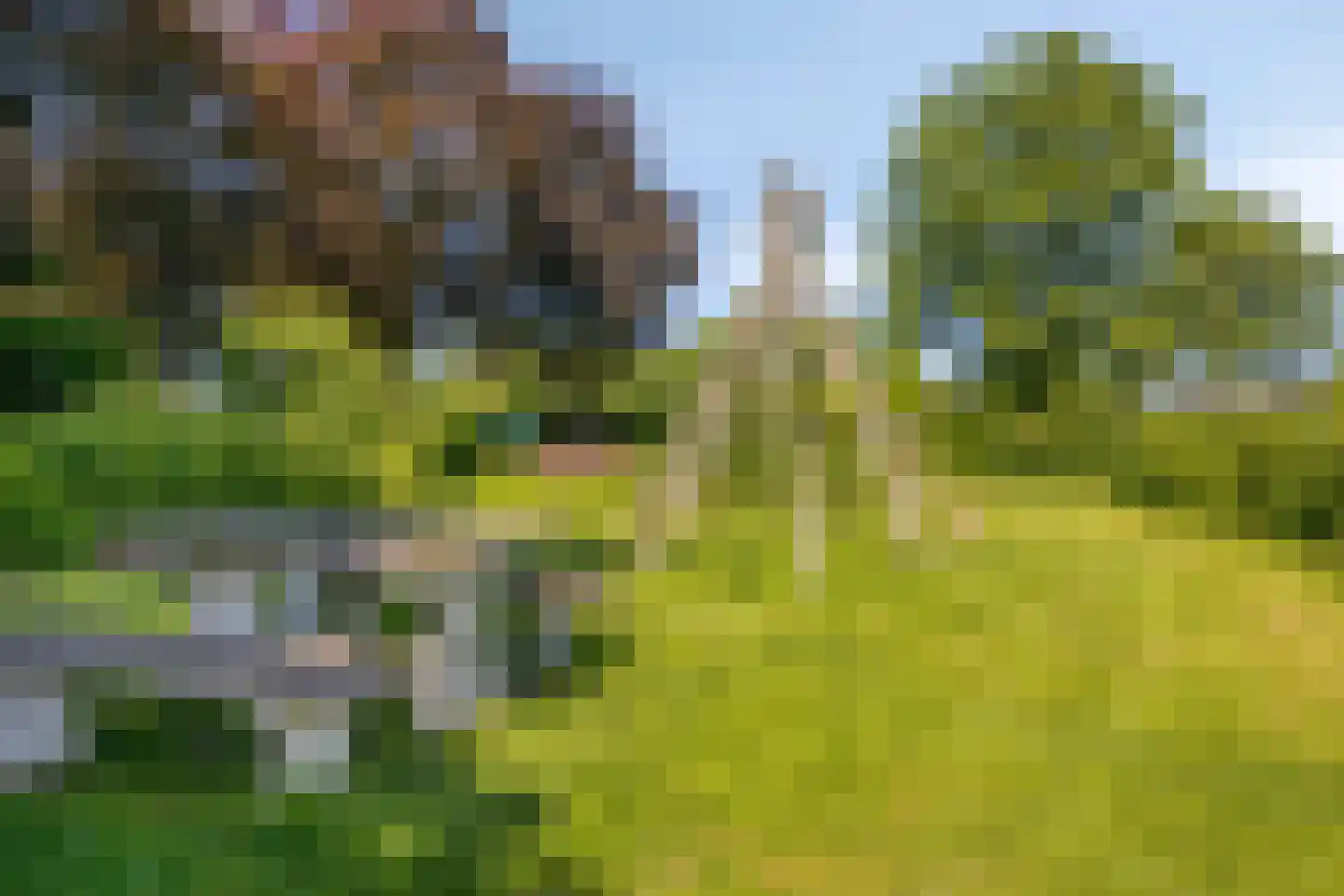Van Deelenstraat 99 Oudheusden thumbnail 64
