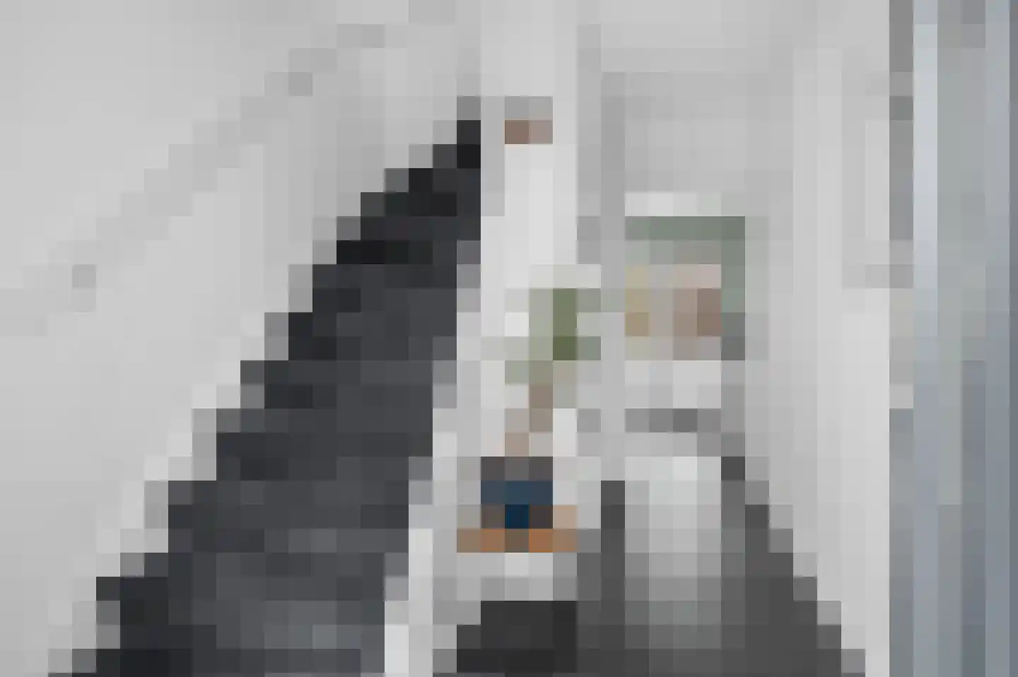 Van Deinsestraat 3 Borne thumbnail 12