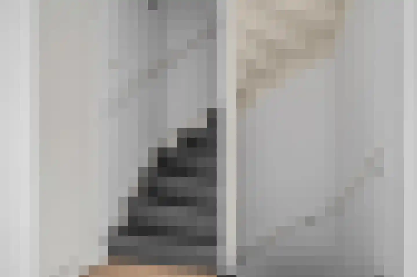 Van Deinsestraat 3 Borne thumbnail 23