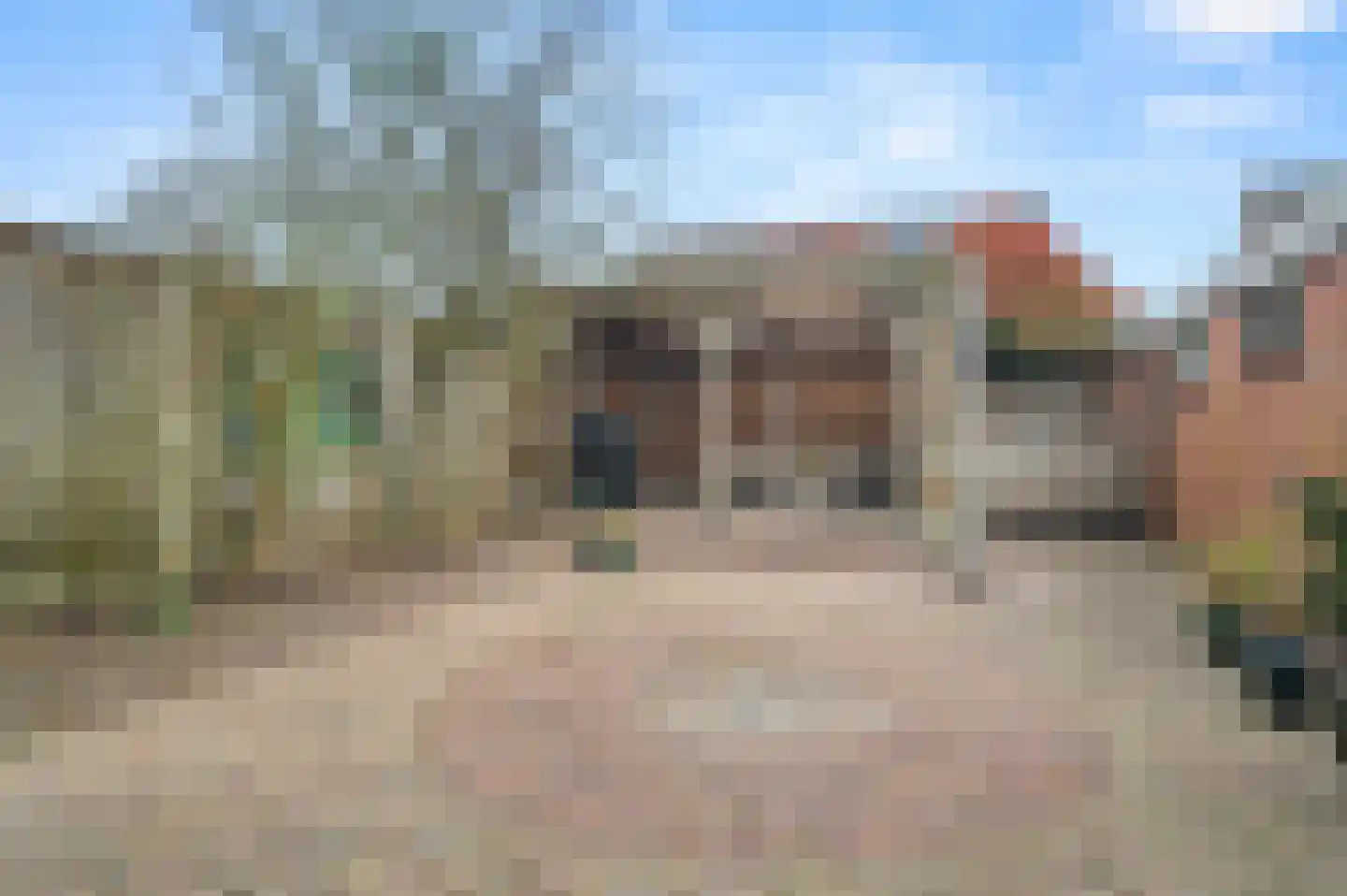 Van Deinsestraat 3 Borne thumbnail 28