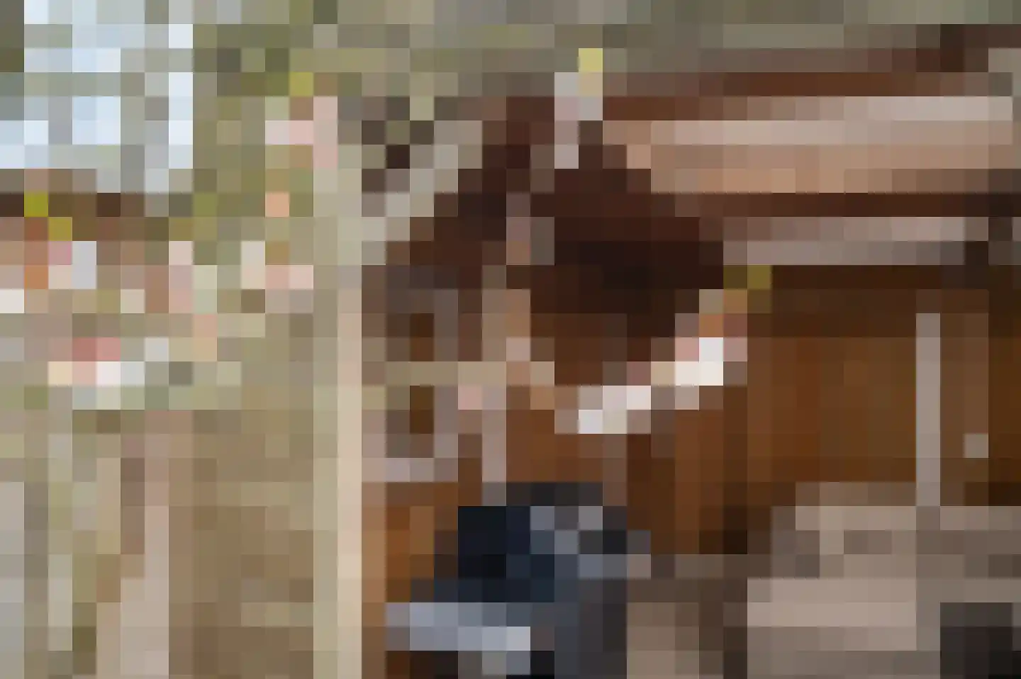 Van Deinsestraat 3 Borne thumbnail 29