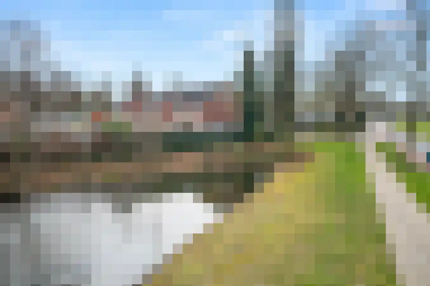 Van Deinsestraat 3 Borne thumbnail 38