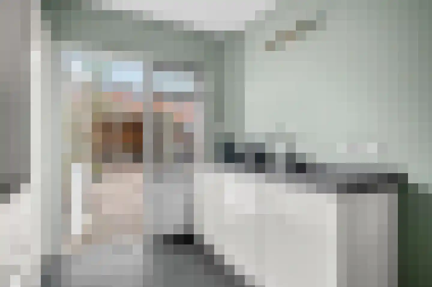 Van Deinsestraat 3 Borne thumbnail 9