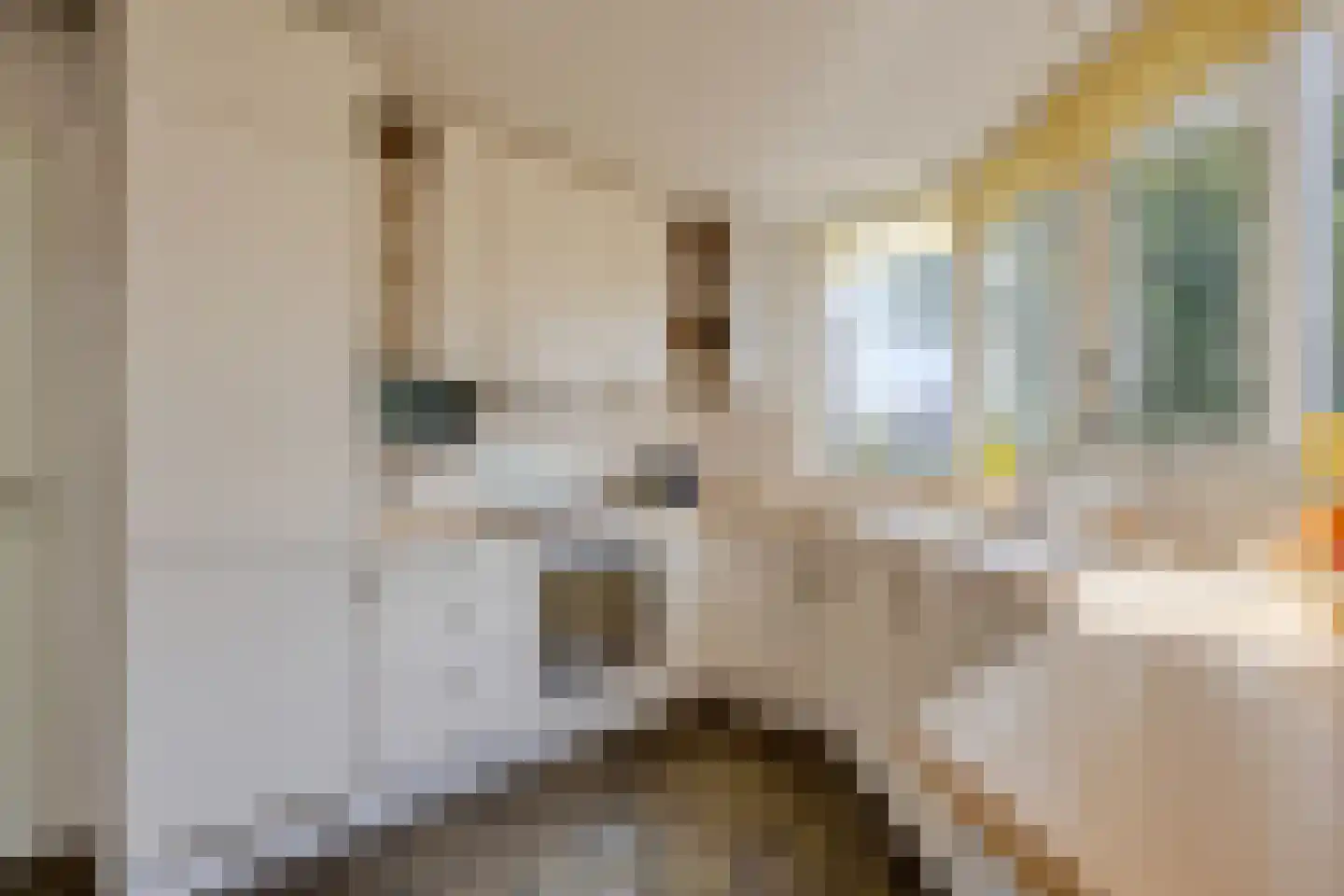 Van Deinsestraat 34 Borne thumbnail 23