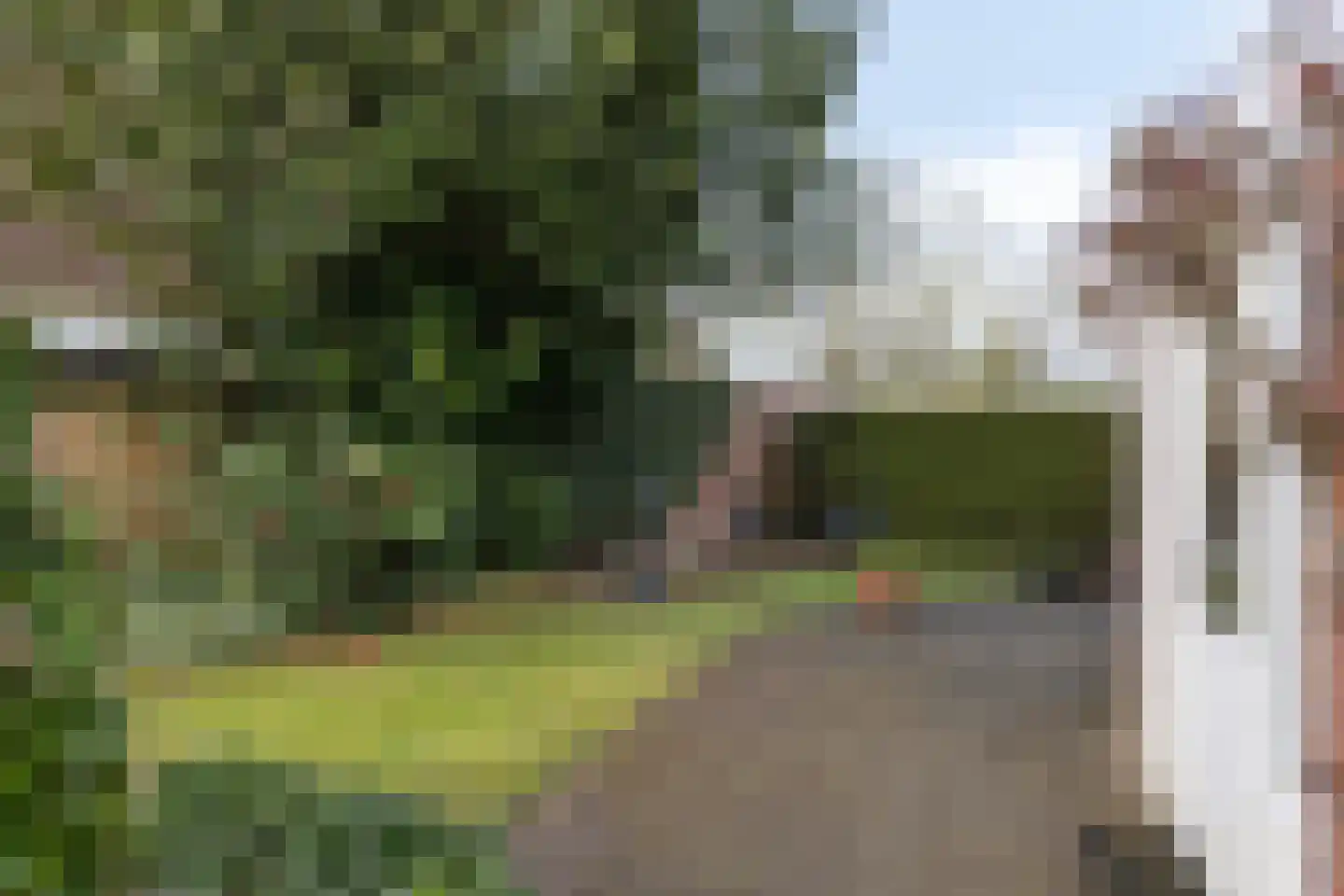 Van Deinsestraat 34 Borne thumbnail 41