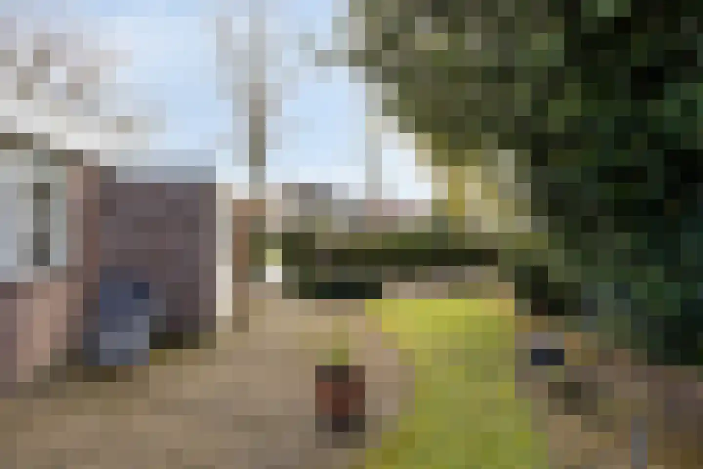 Van Deinsestraat 34 Borne thumbnail 42