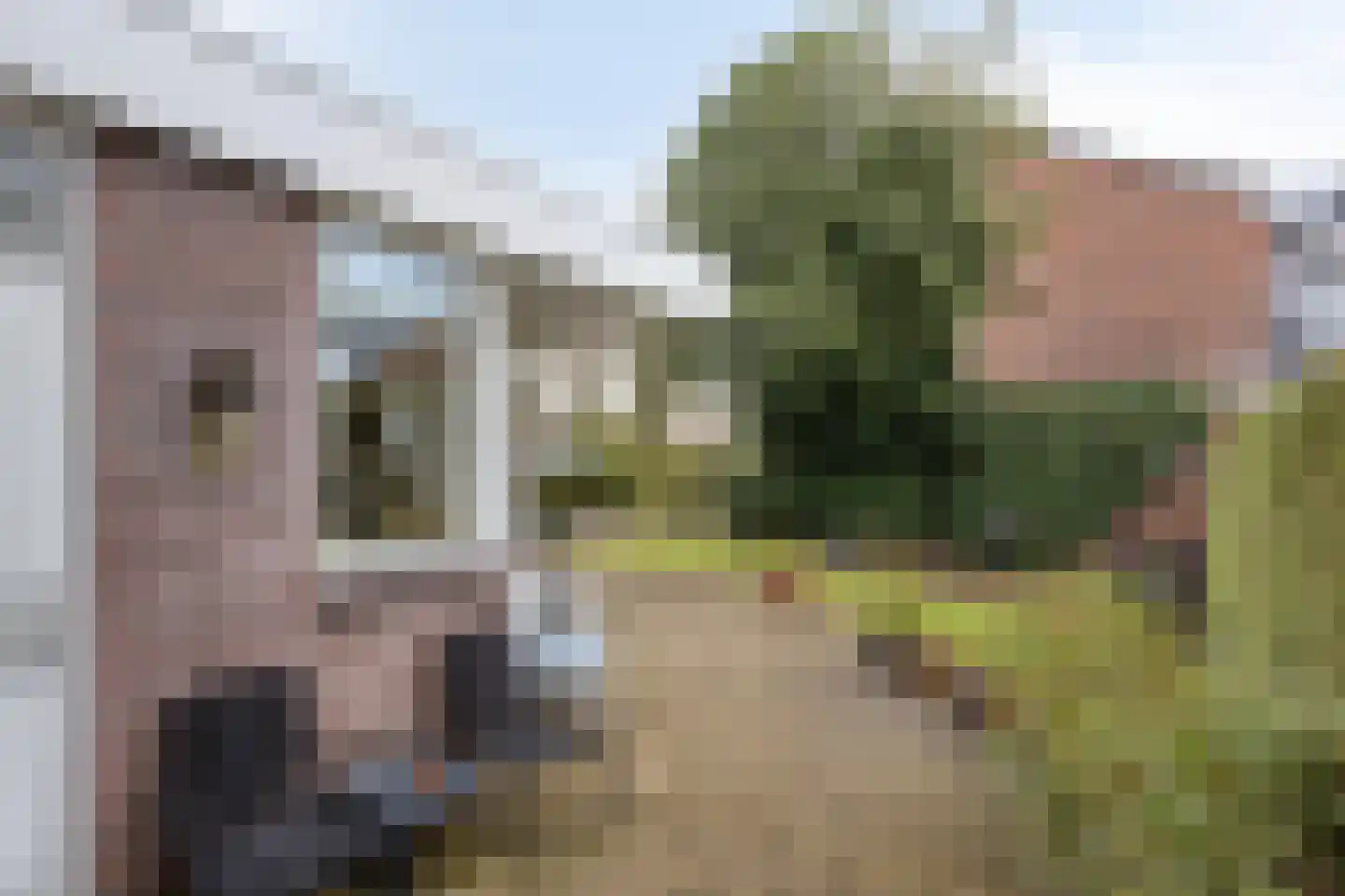 Van Deinsestraat 34 Borne thumbnail 7