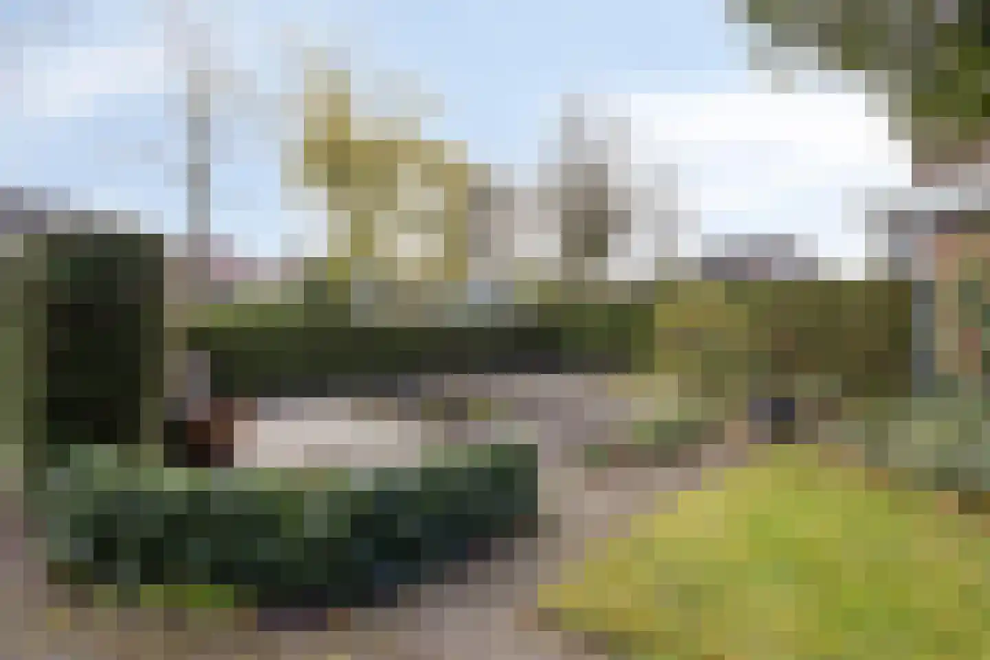Van Deinsestraat 34 Borne thumbnail 8