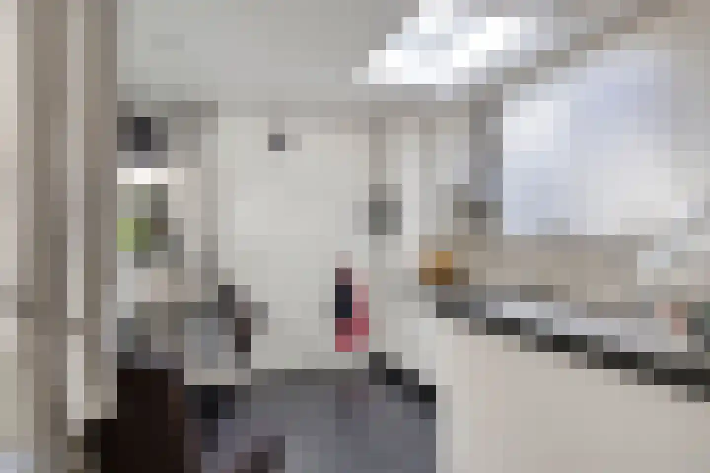 Van Deinsestraat 43 Borne thumbnail 11