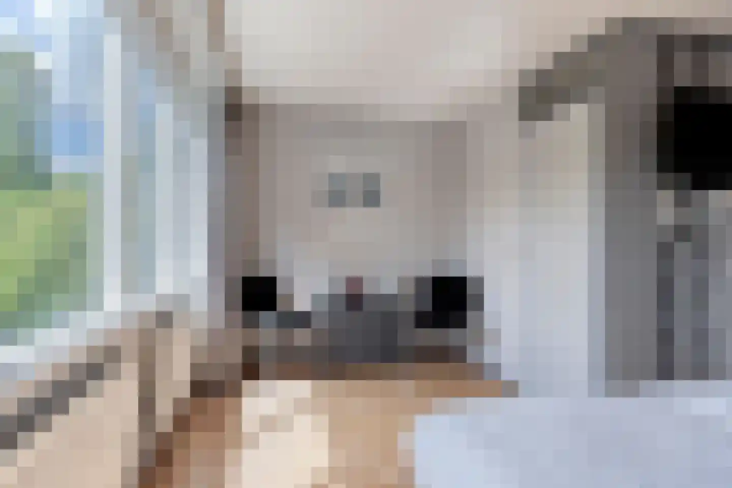 Van Deinsestraat 43 Borne thumbnail 14