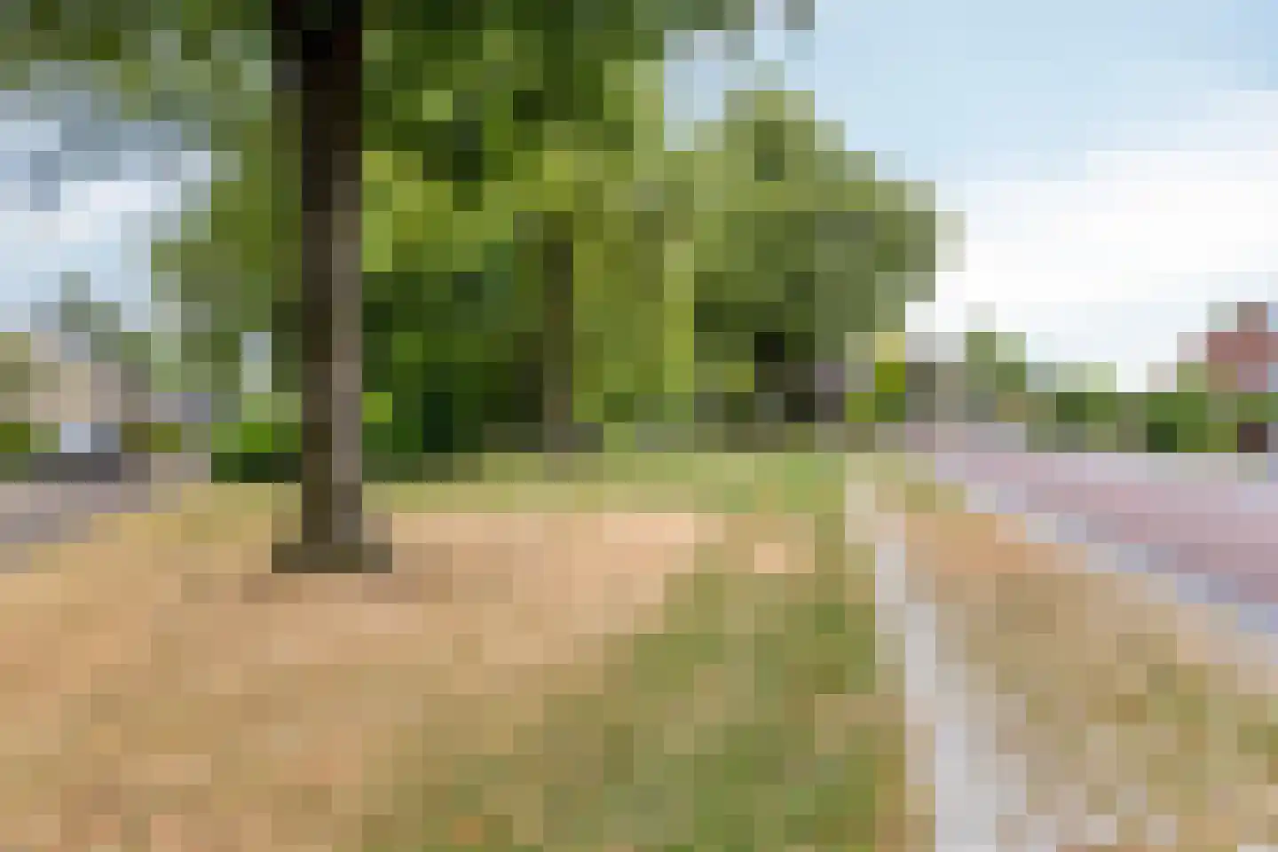 Van Deinsestraat 43 Borne thumbnail 22