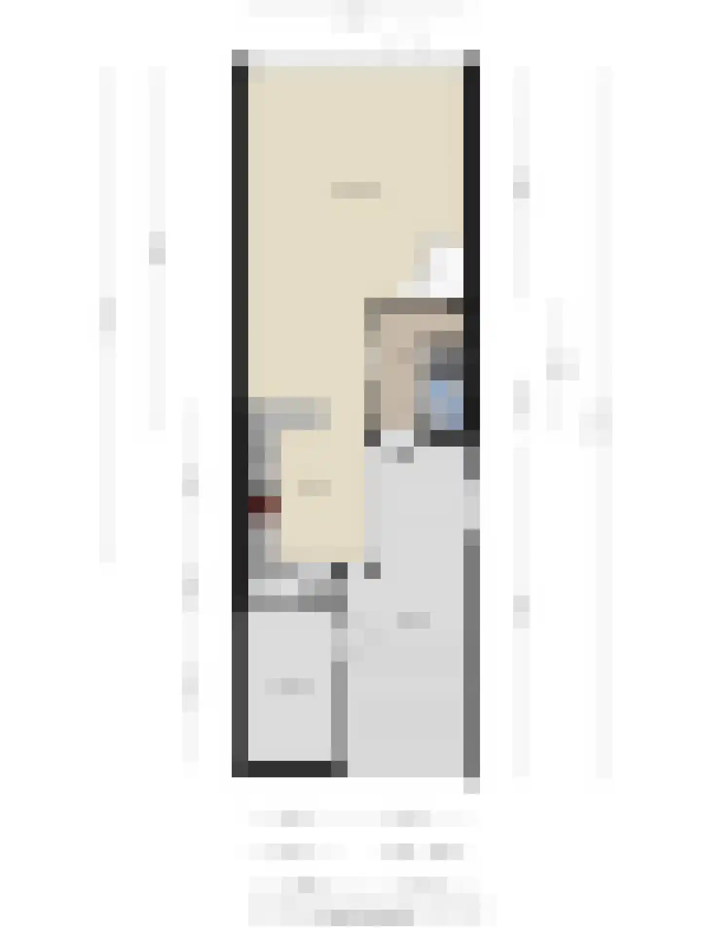 Van Deinsestraat 43 Borne thumbnail 28