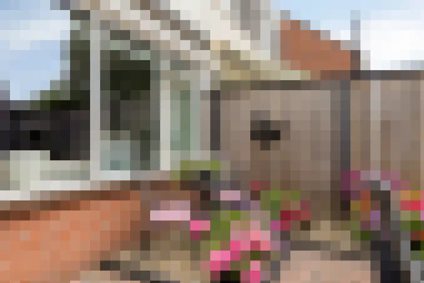 Van Deinsestraat 43 Borne thumbnail 5