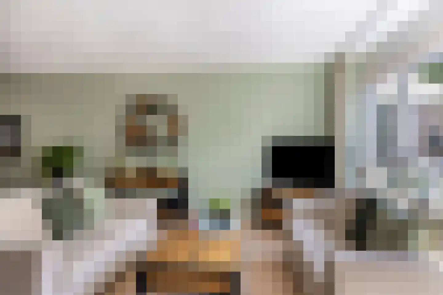 Van Deinsestraat 43 Borne thumbnail 8