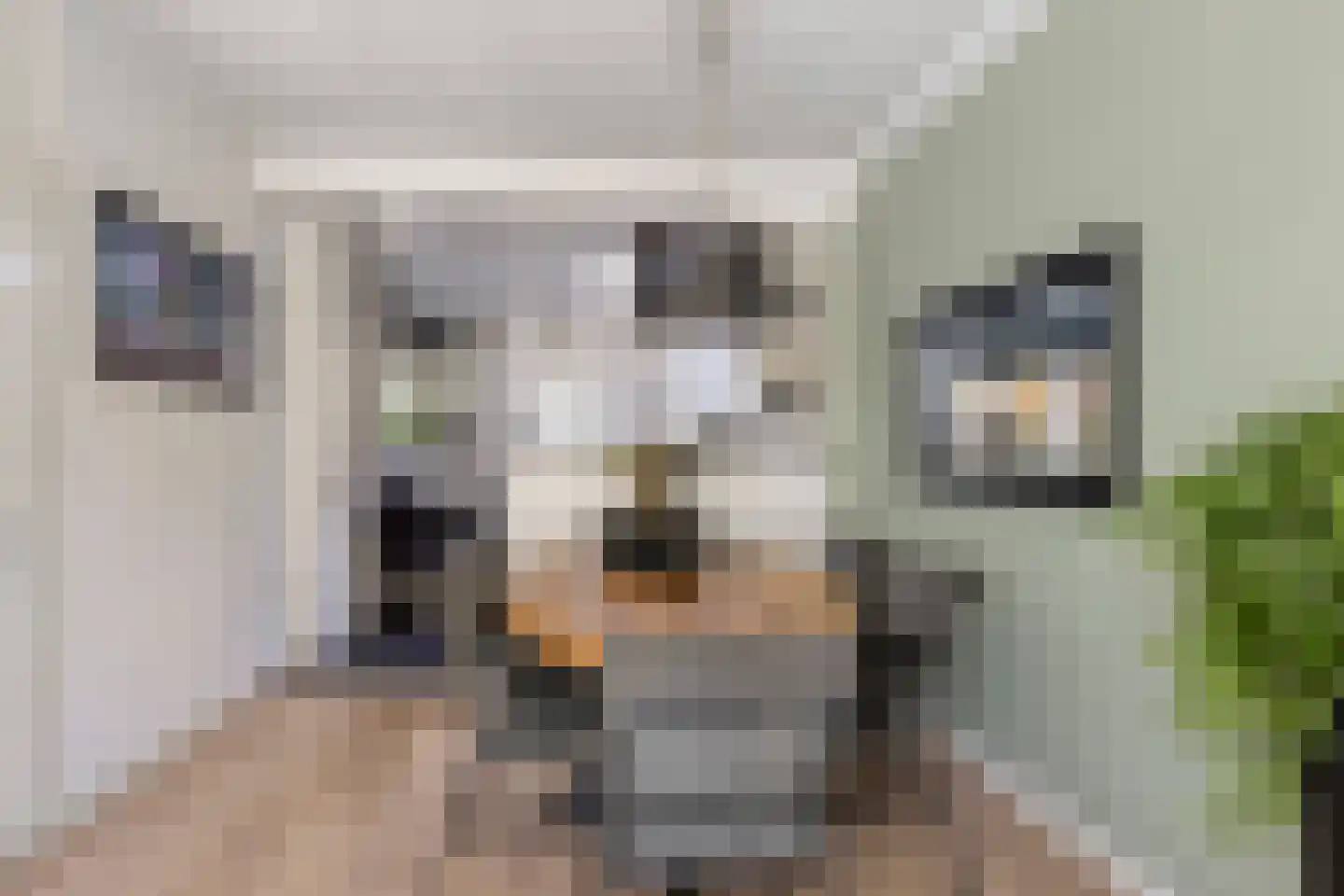Van Deinsestraat 43 Borne thumbnail 9