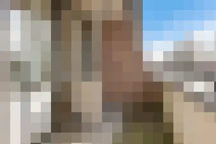 van Dekemalaan 23 Heerenveen thumbnail 11