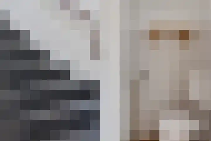 van Dekemalaan 23 Heerenveen thumbnail 13