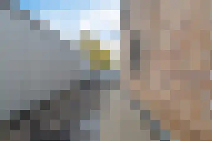 van Dekemalaan 29 Heerenveen thumbnail 21