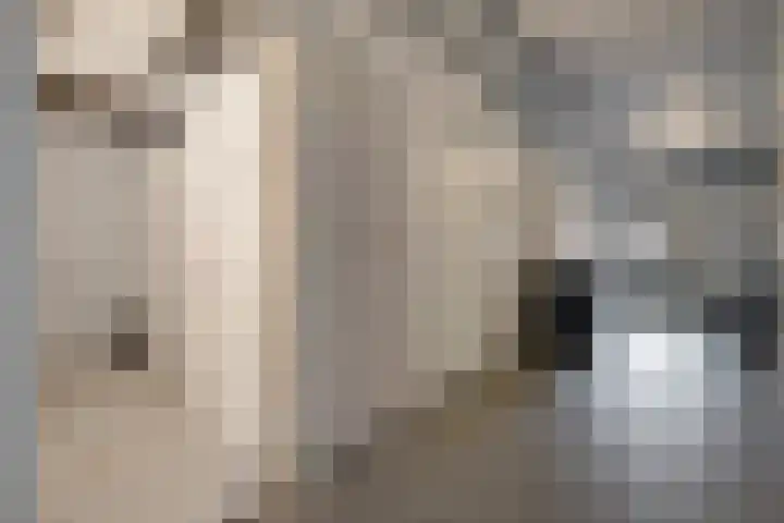 van Dekemalaan 29 Heerenveen thumbnail 6