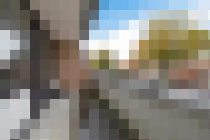 van Dekemalaan 29 Heerenveen thumbnail 8
