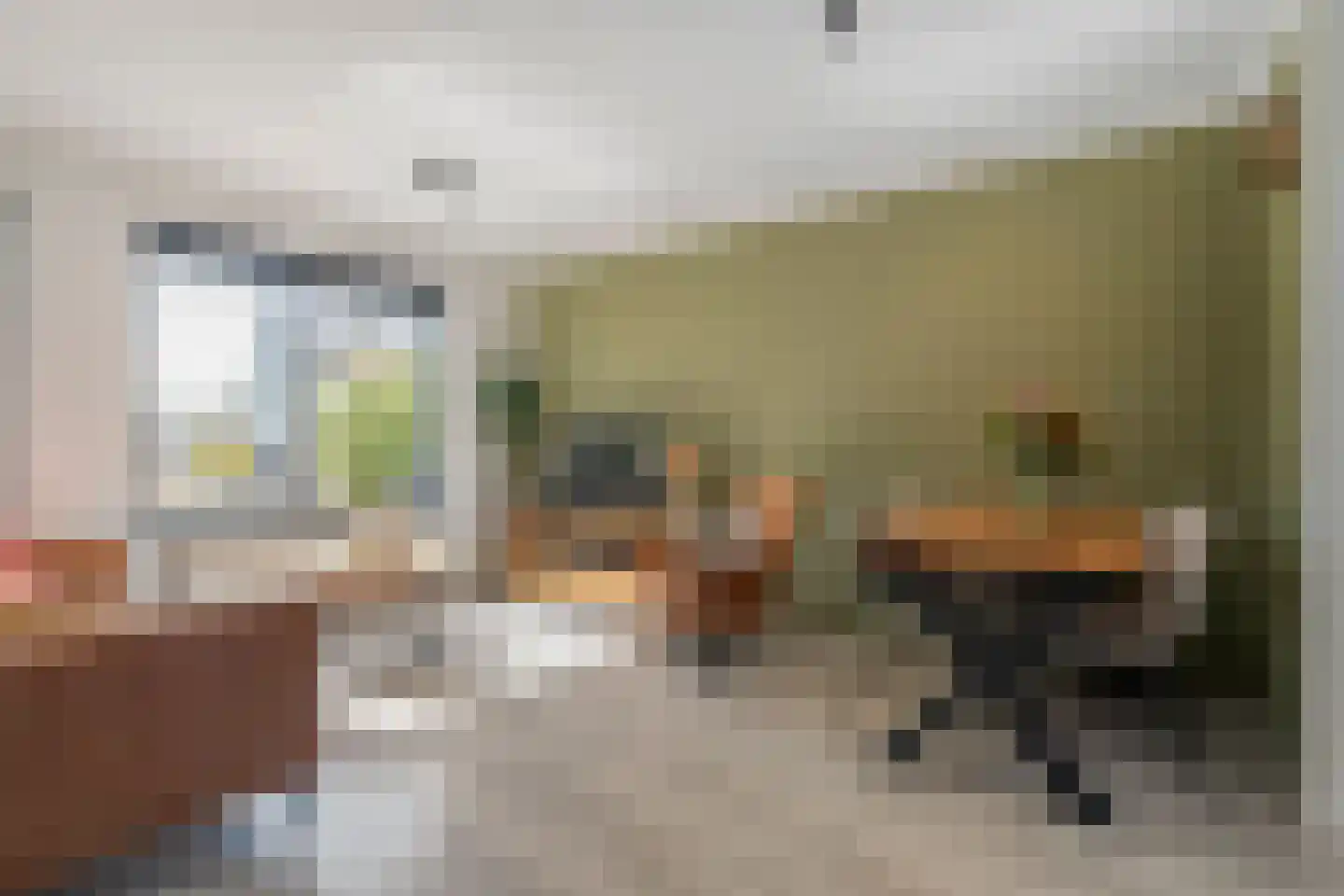 Van Deldenmarke 32 Zwolle thumbnail 10