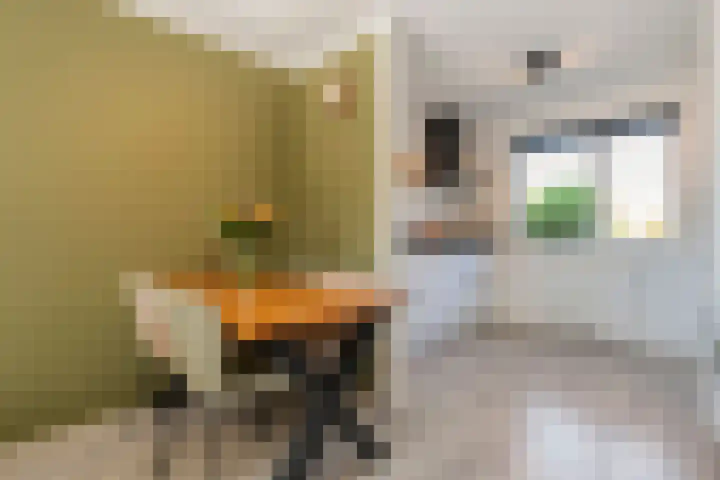 Van Deldenmarke 32 Zwolle thumbnail 11