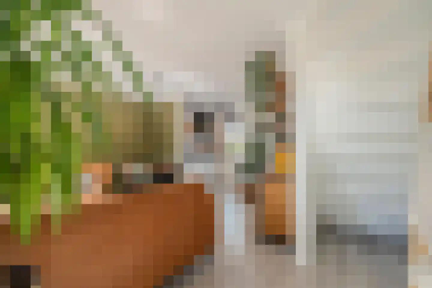 Van Deldenmarke 32 Zwolle thumbnail 17