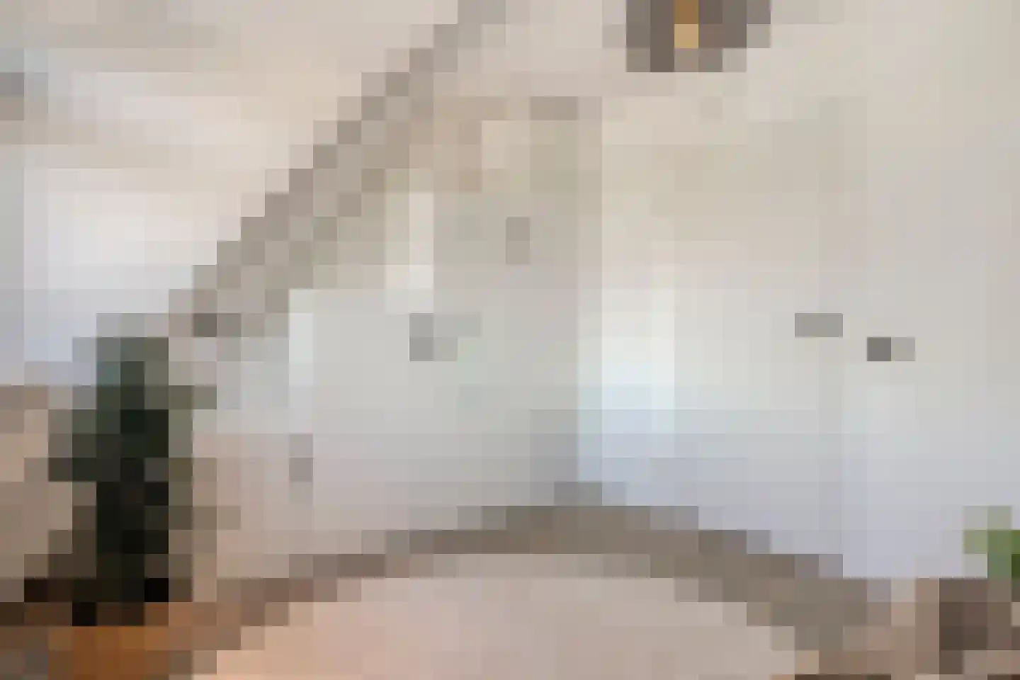 Van Deldenmarke 32 Zwolle thumbnail 20