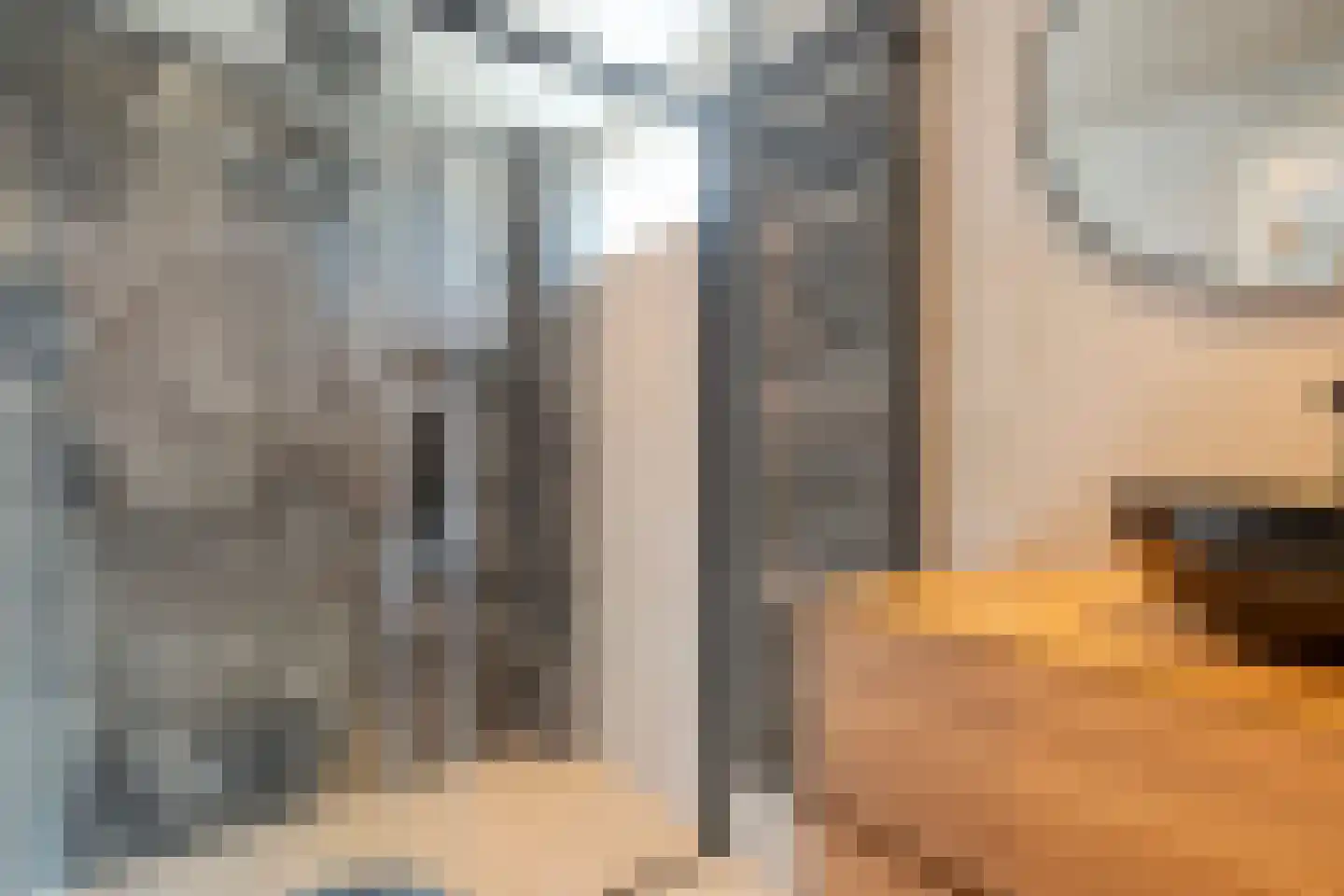 Van Deldenmarke 32 Zwolle thumbnail 24