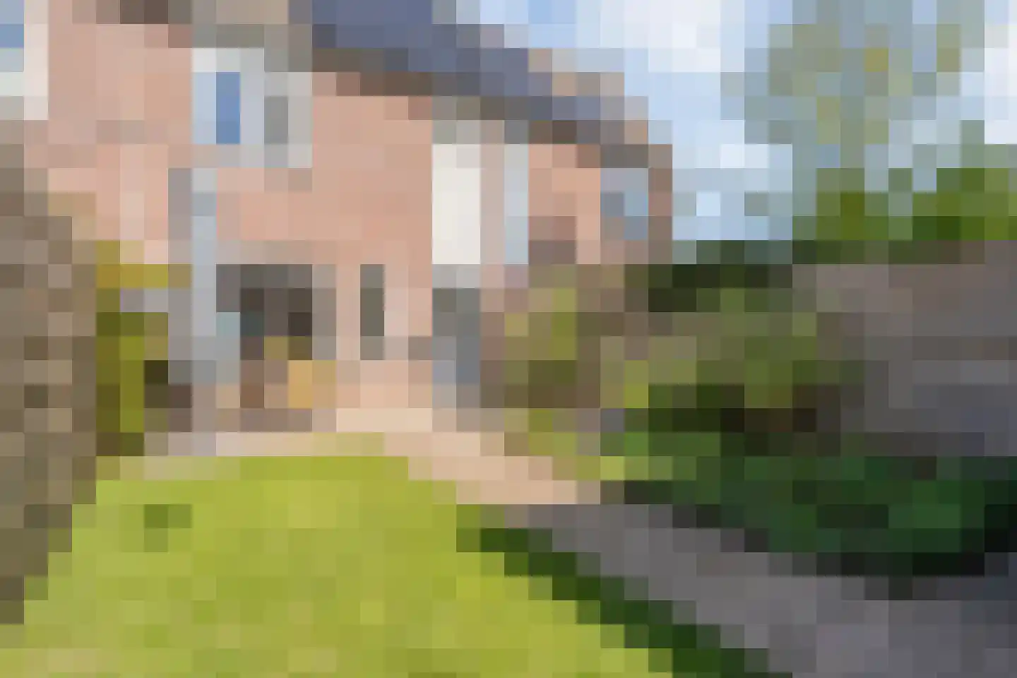 Van Deldenmarke 32 Zwolle thumbnail 30