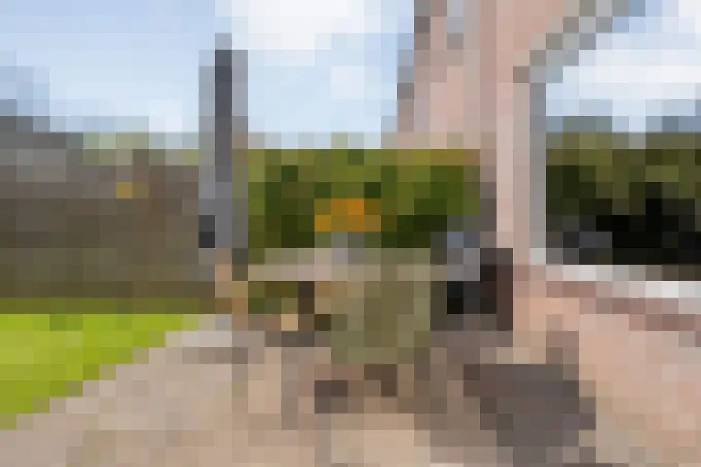 Van Deldenmarke 32 Zwolle thumbnail 32