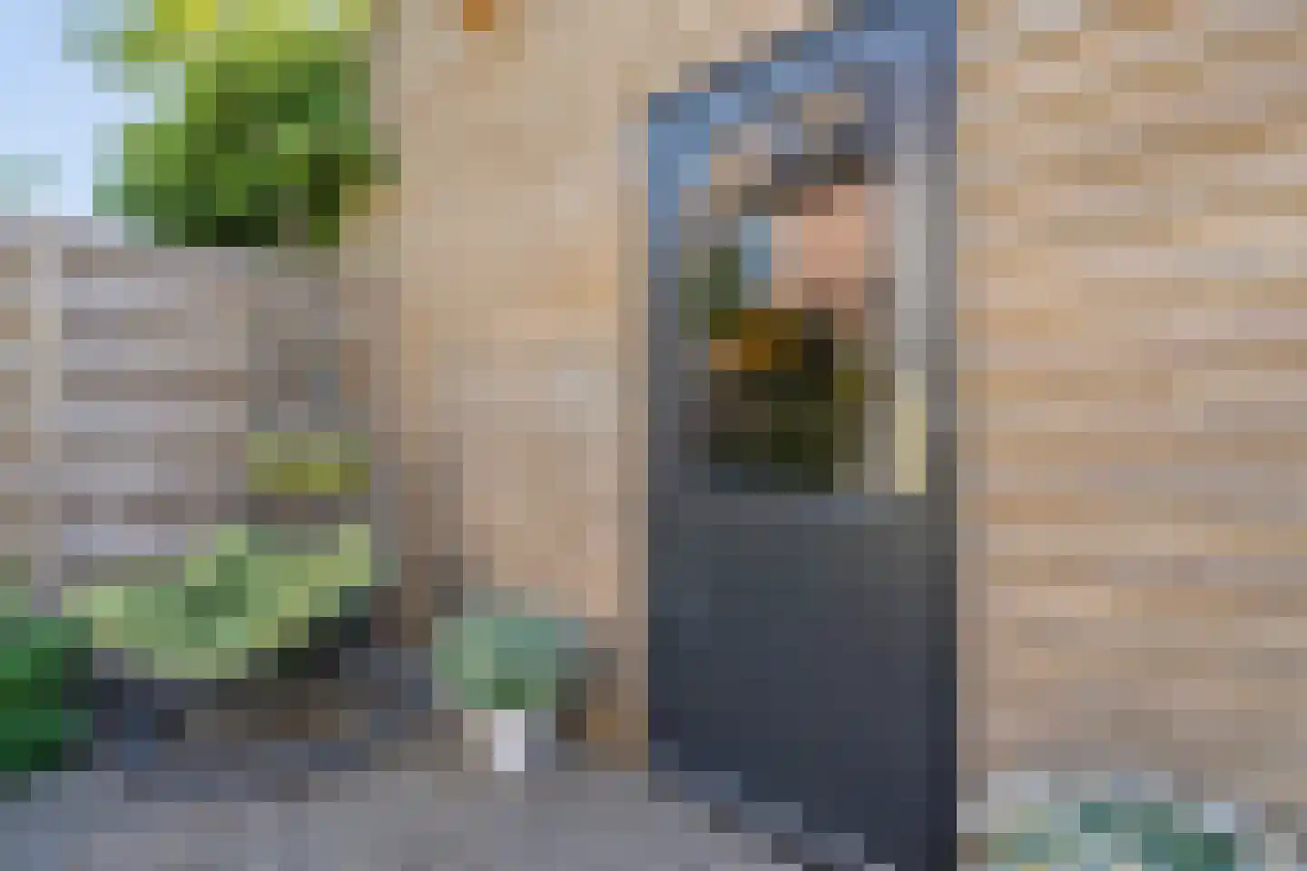 Van Deldenmarke 32 Zwolle thumbnail 35