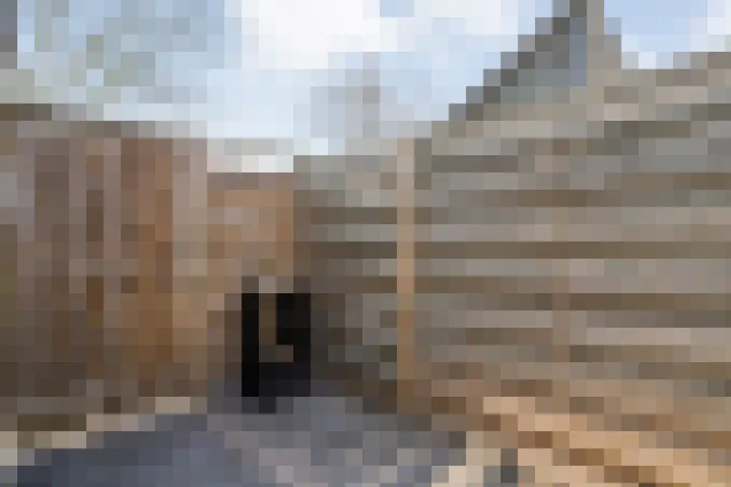 Van Deldenmarke 32 Zwolle thumbnail 36