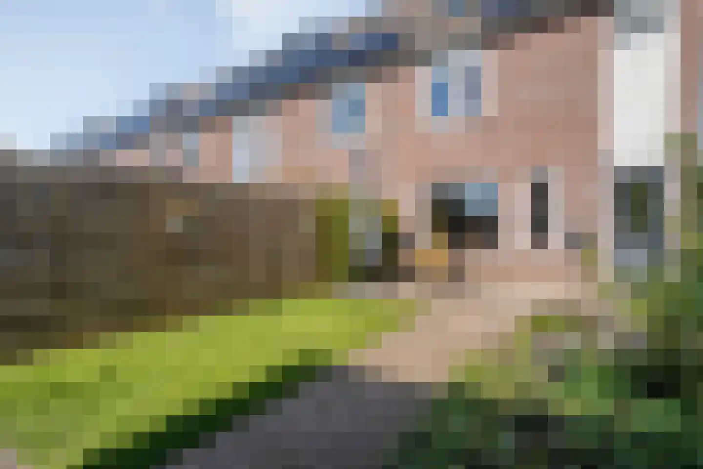 Van Deldenmarke 32 Zwolle thumbnail 38