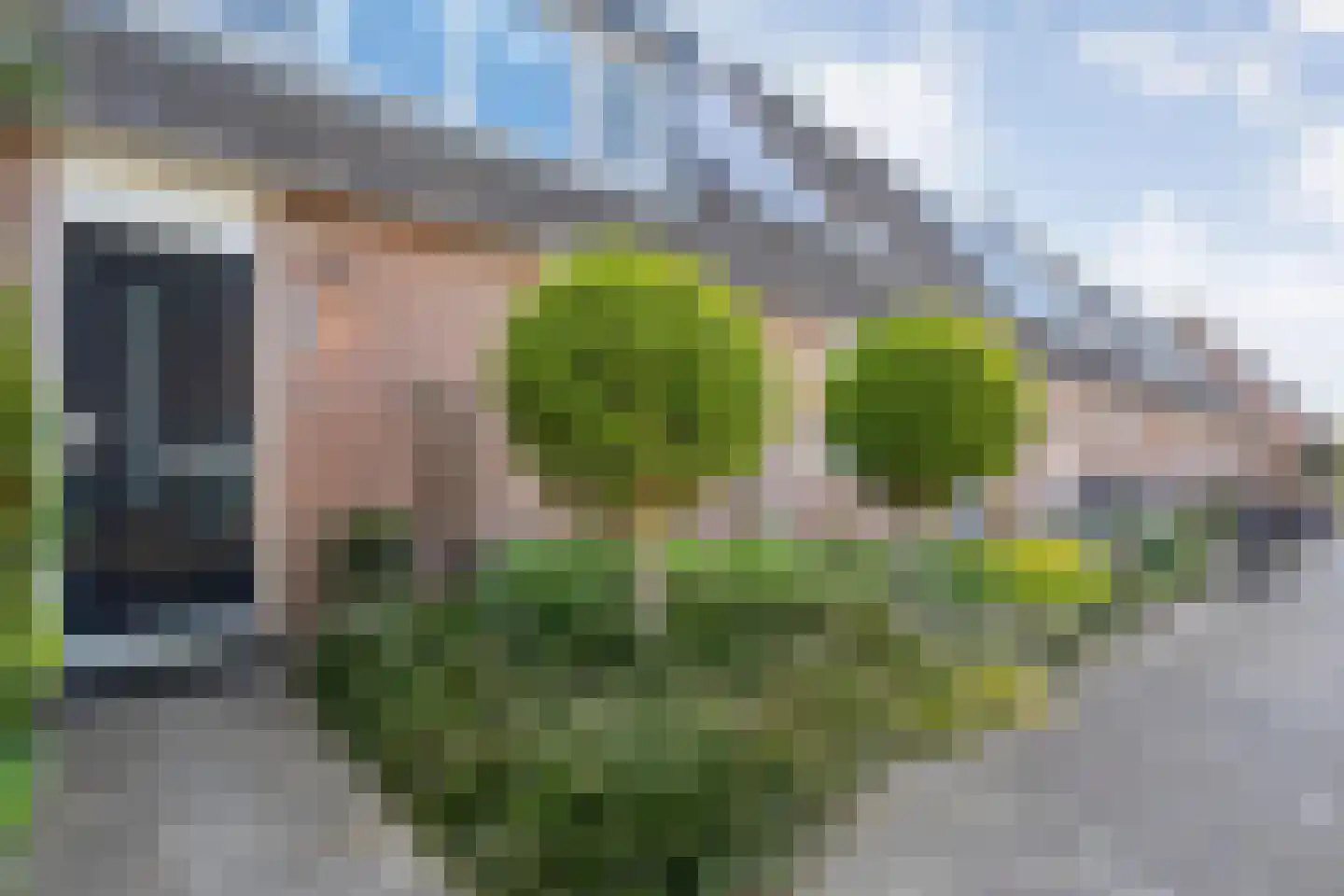 Van Deldenmarke 32 Zwolle thumbnail 4