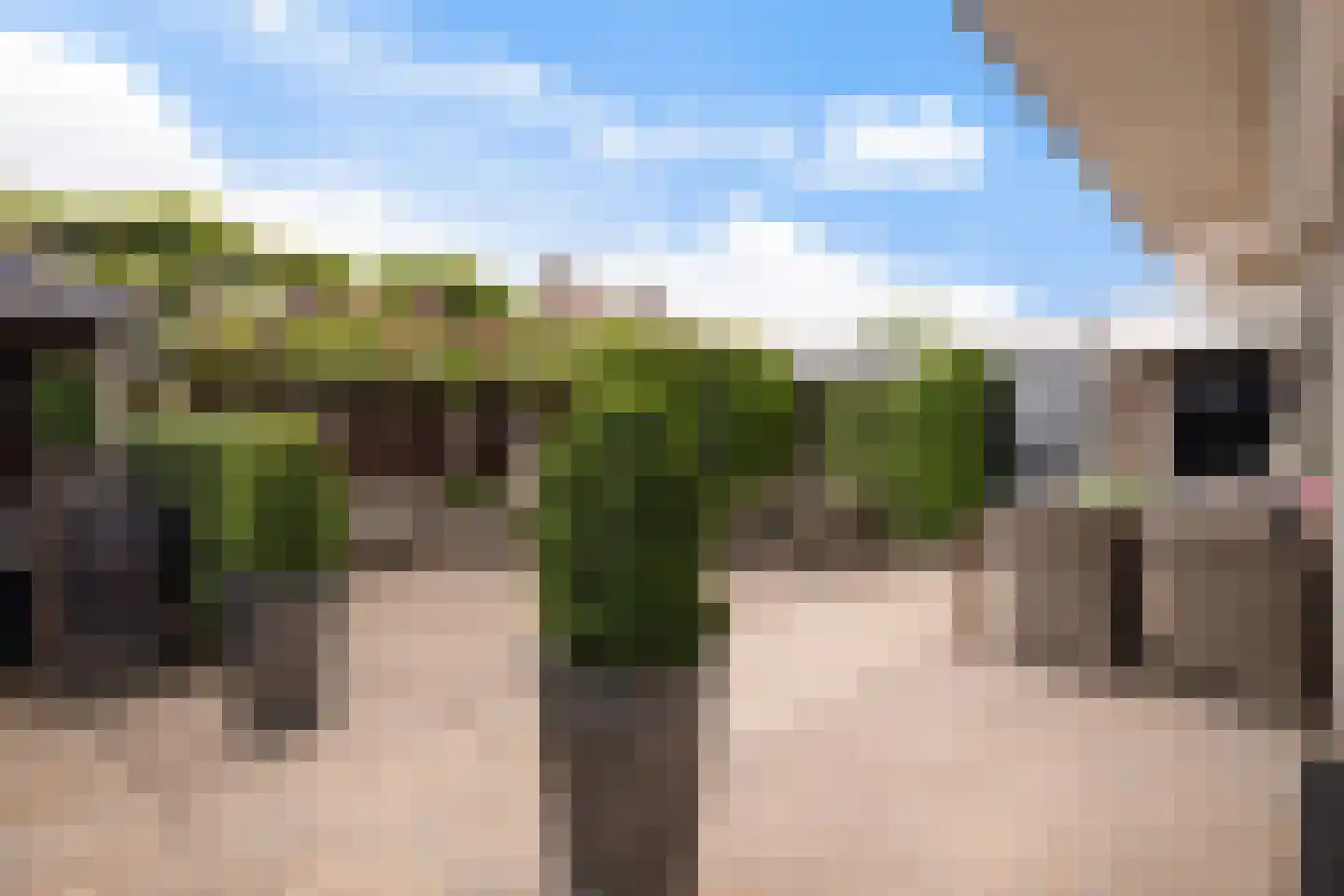 Van Delenerf 11 Wekerom thumbnail 20
