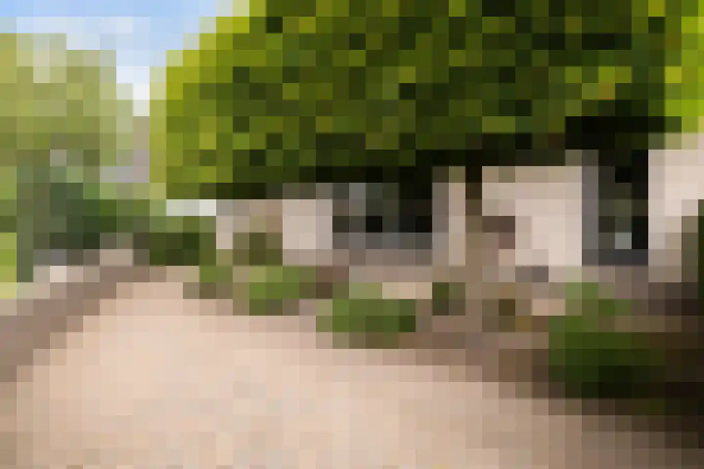 Van Delenerf 11 Wekerom thumbnail 25