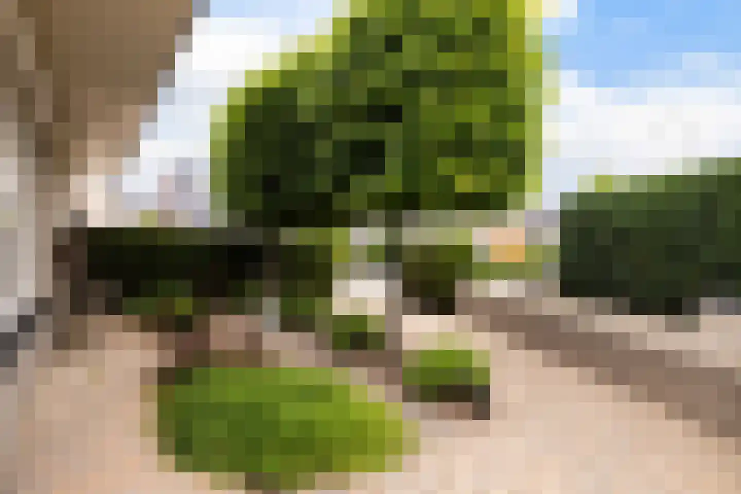Van Delenerf 11 Wekerom thumbnail 26