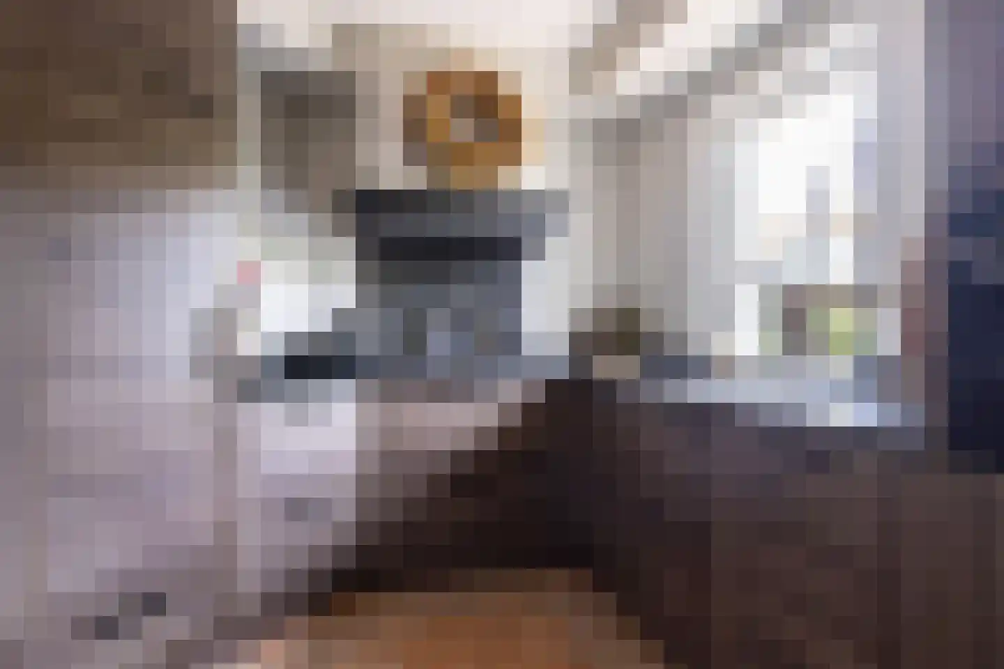 Van Delenerf 11 Wekerom thumbnail 4