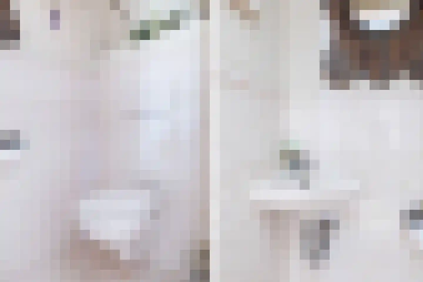 Van Delenerf 11 Wekerom thumbnail 9