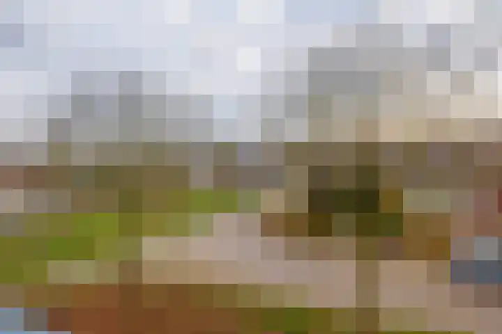 Van Delenshof 9 Druten thumbnail 15